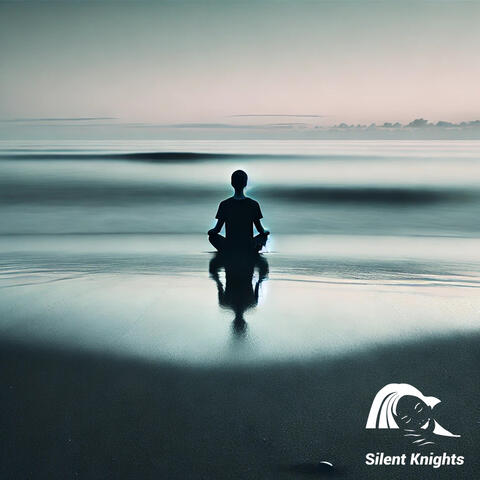 Timeless Echoes album art