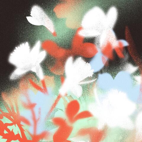 NIGHT album art