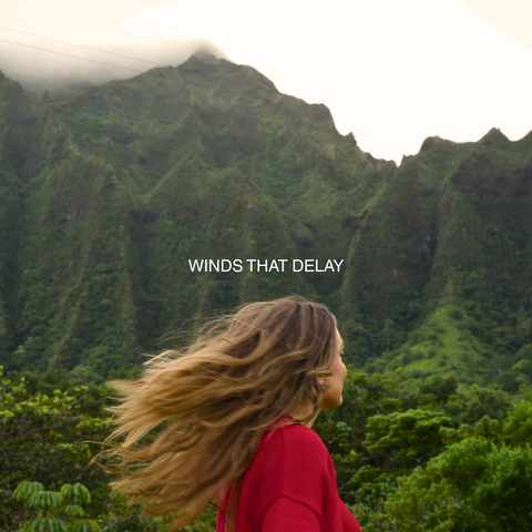 Winds that Delay album art