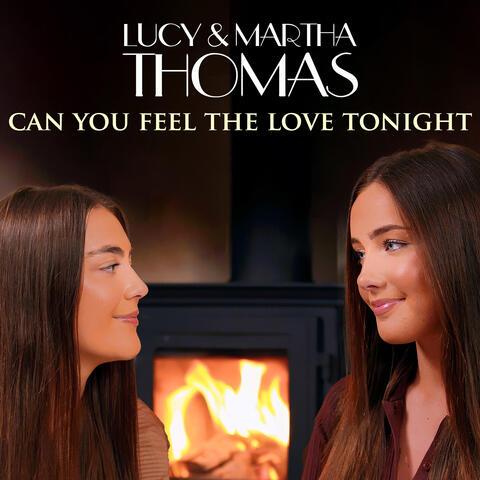 Can You Feel The Love Tonight album art