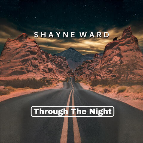 Through The Night album art