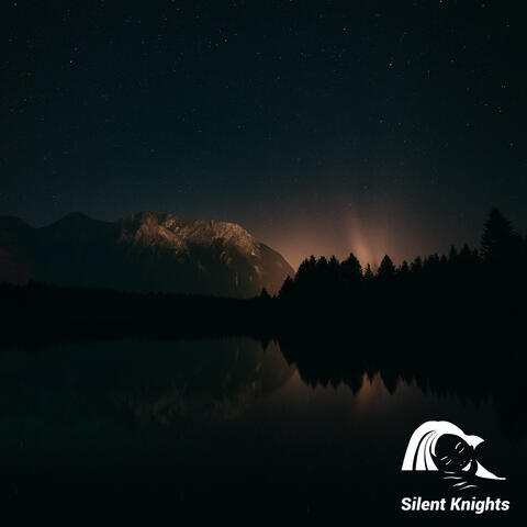 Gentle Night Music album art