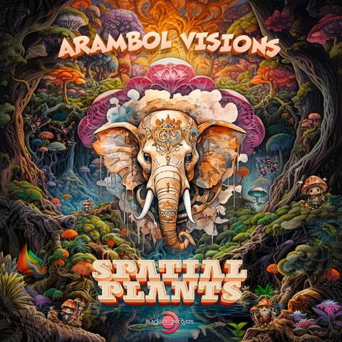 Arambol Visions album art