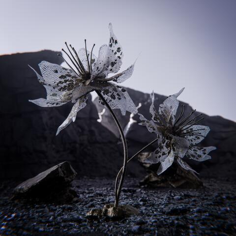 With Me album art