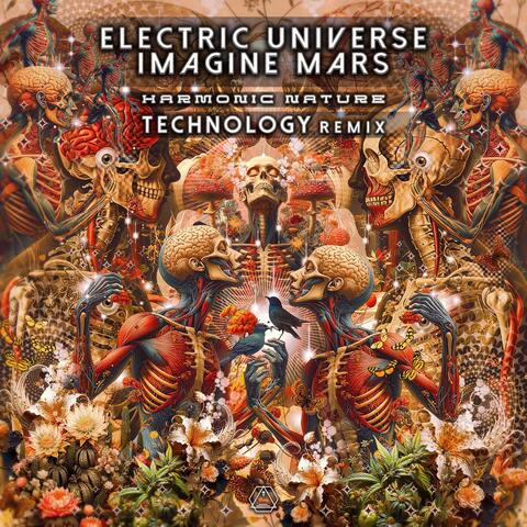 Harmonic Nature (Technology Remix) album art