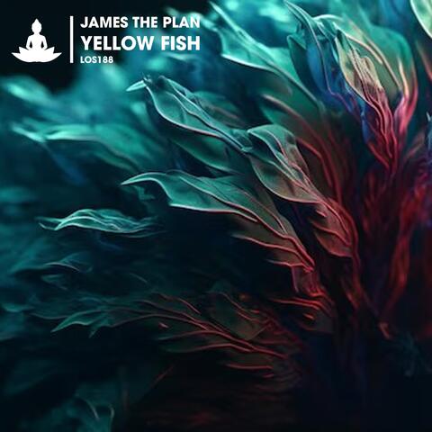 Yellow Fish album art