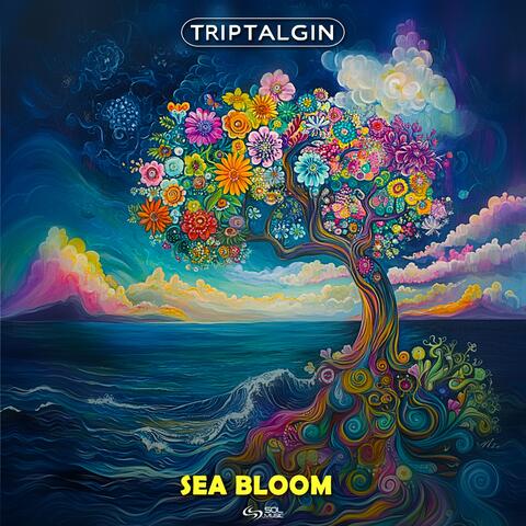 Sea Bloom album art