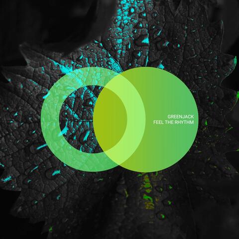 Feel the Rhythm album art