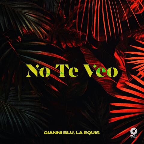 No Te Veo album art
