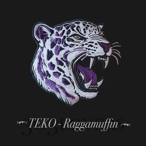 Raggamuffin album art