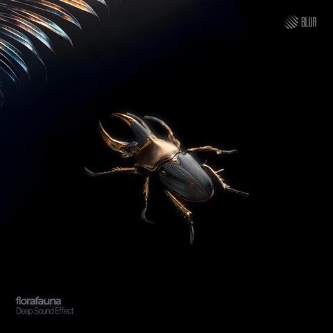 Florafauna album art
