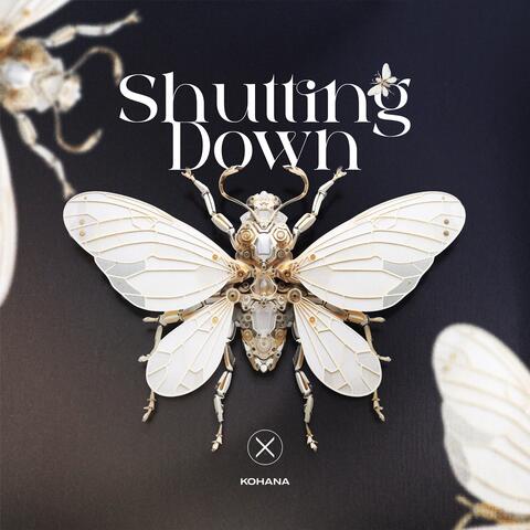 Shutting Down album art