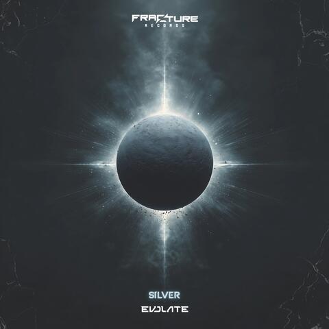 Silver album art