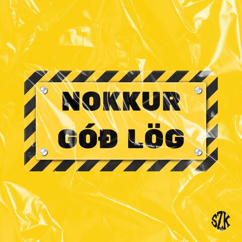 Nokkur Góð Lög album art