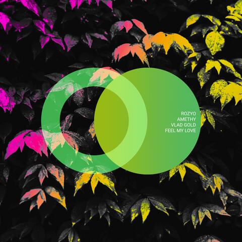 Feel My Love album art