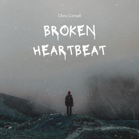 Broken Heartbeat album art