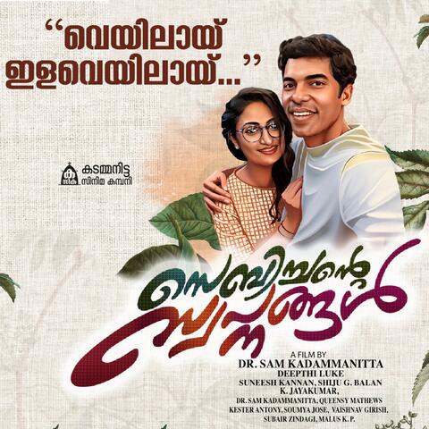 Veyilay Ilaveyilay album art