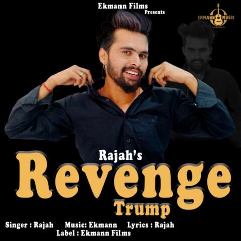 Revenge album art