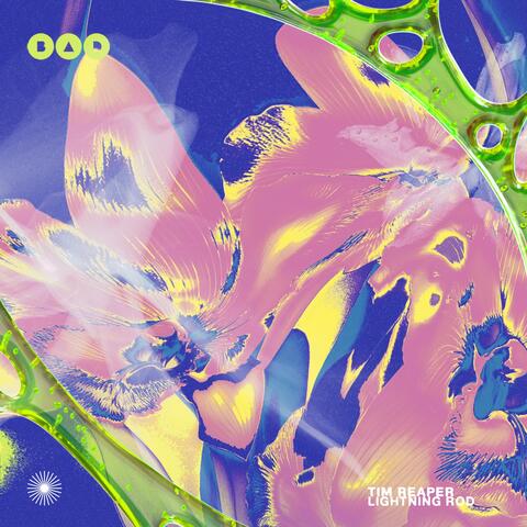 Lightning Rod album art