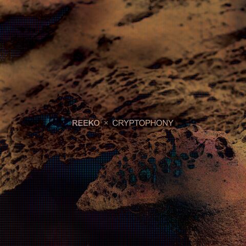 Cryptophony album art