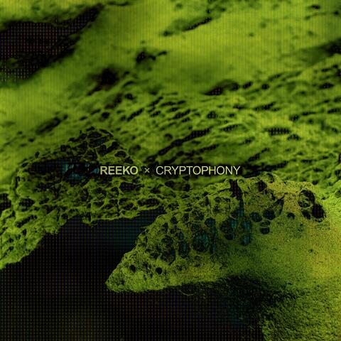 Secuencia Criptofonica II album art