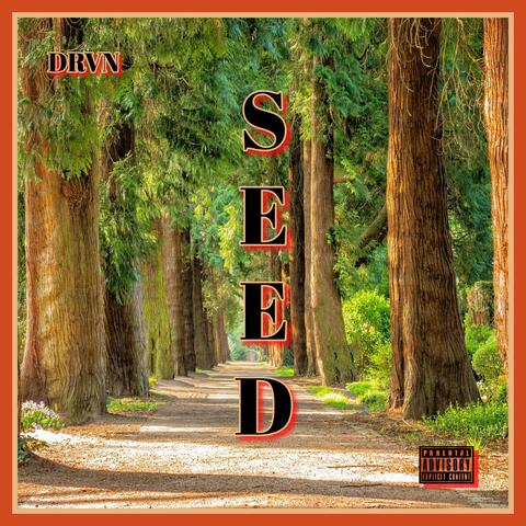 Seed album art