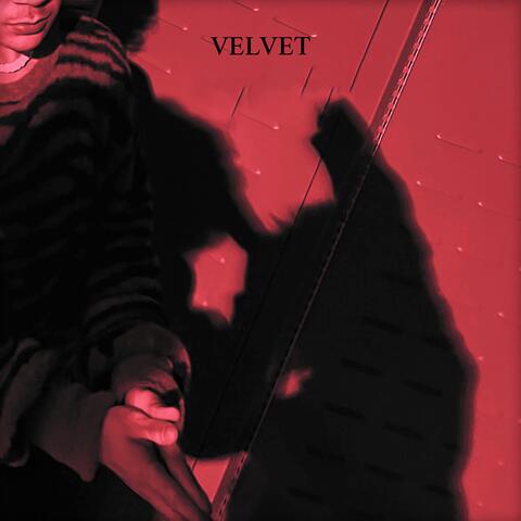 Velvet album art