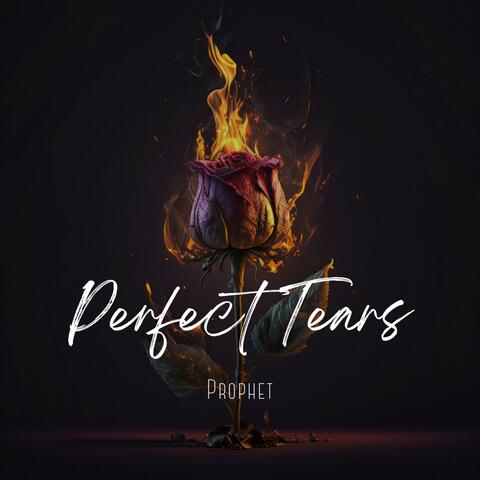 Perfect Tears album art