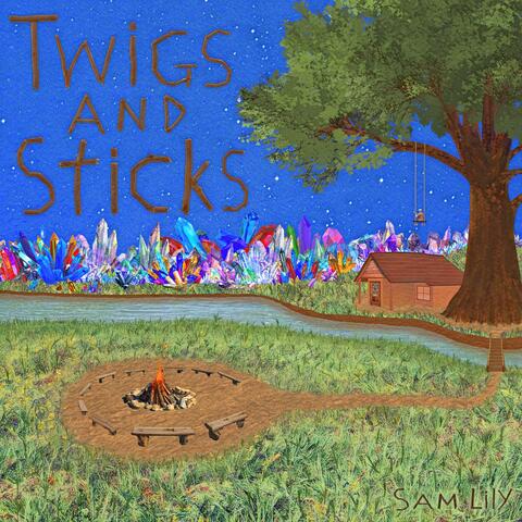 Twigs and Sticks album art