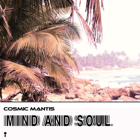 Mind and soul album art