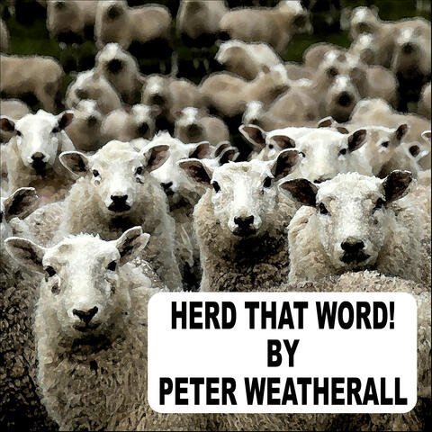 Herd that Word! album art