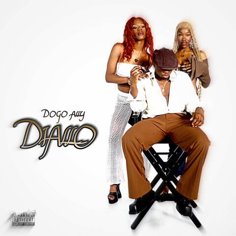 Diallo album art