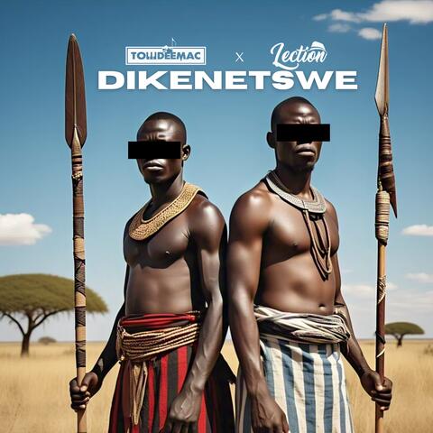 Dikenetswe album art