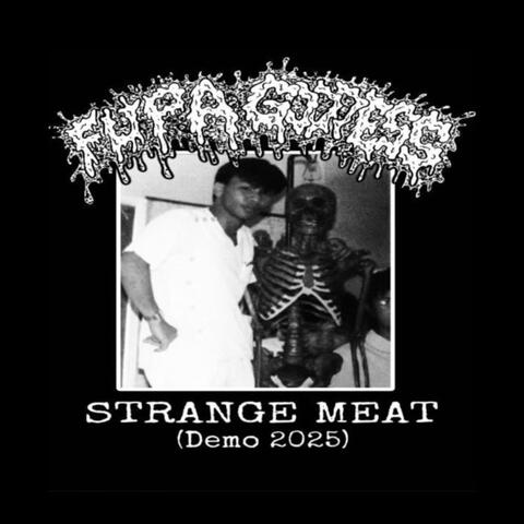 STRANGE MEAT (Demo) album art