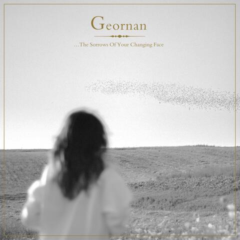 …The Sorrows Of Your Changing Face album art
