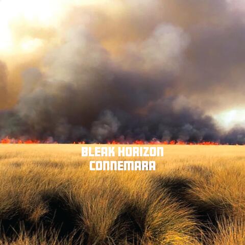 Bleak Horizon album art