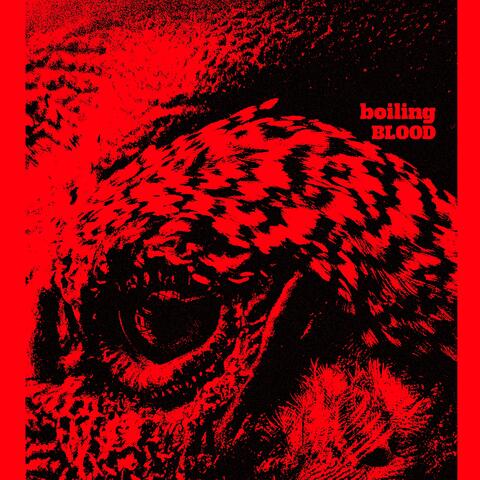 boiling BLOOD album art