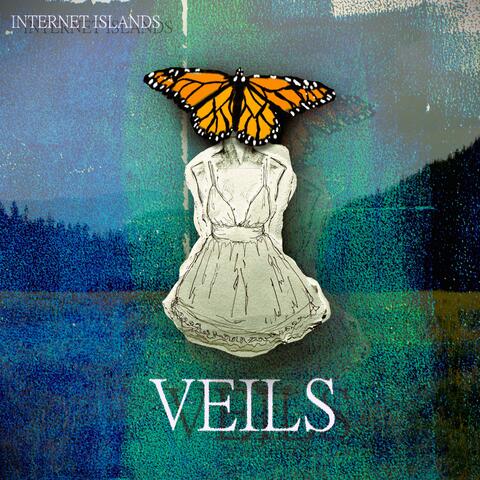 Veils album art