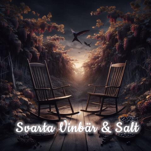 Svarta vinbär & salt album art
