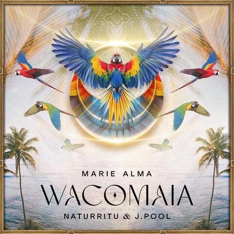 Wacomaia album art