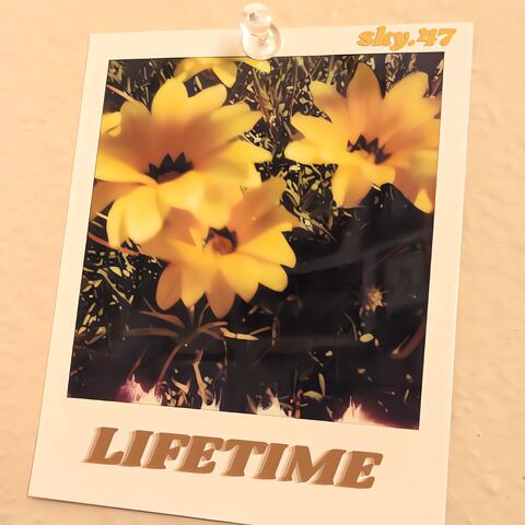 Lifetime album art