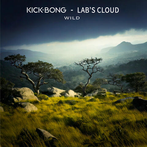 Wild album art
