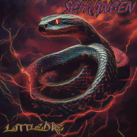 Schlangen album art