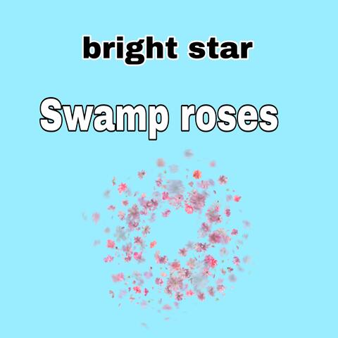 Swamp roses album art