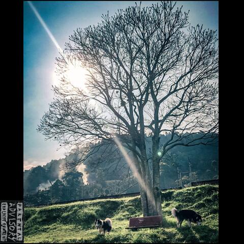 OJO AHI album art