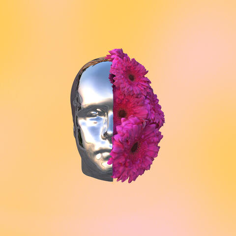 i would never album art