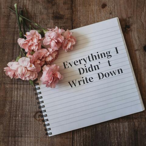 Everything I Didn’t Write Down album art