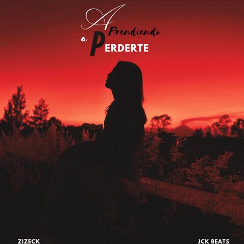 APRENDIENDO A PERDERTE album art