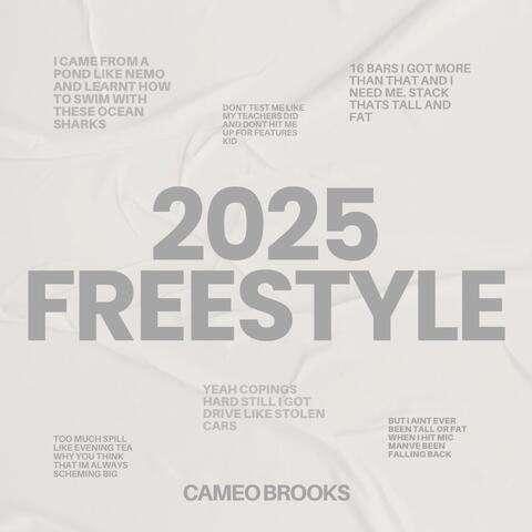 2025 album art