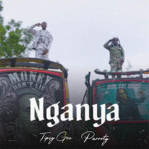 Nganya album art